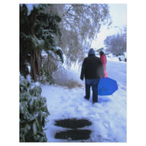 Cold Walk Home flyers