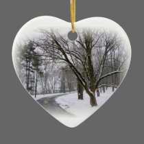 Cold Winter Day Ornament ornaments