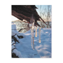 cold winter icicles after first snow storm postcards by patrickrp cold winter icicles after first snow storm postcards