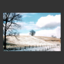 Cold Winter posters