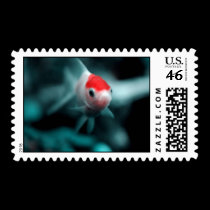 Cold world postage