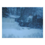 Coldness of Winter Art Photo