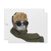 ColdWeatherAviatorKit082009 invitations by ShroudedLake ColdWeatherAviatorKit082009 invitations