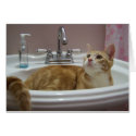 cole in sink cards