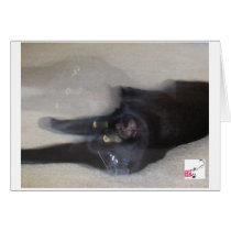 Cole - Movement Cards