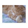 Cole Post Cards