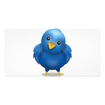 Coleção Twitter photo cards