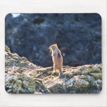 Colección de la ardilla/del Chipmunk Tapetes De Ratones