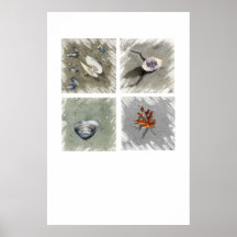 Colección de la costa de la playa de la grúa posters