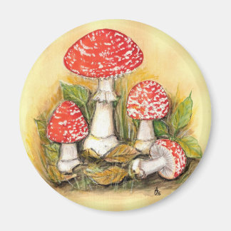 Colección del agárico de mosca imán para frigorífico