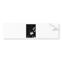 Coles Phillips Fadeaway - In A Position To Know Bumper Sticker