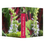 Coleus binders