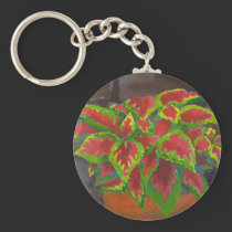 Coleus in Terracotta keychains