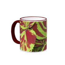 Coleus mugs