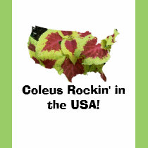 Coleus USA t-shirts