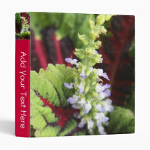 Coleus Vinyl Binders
