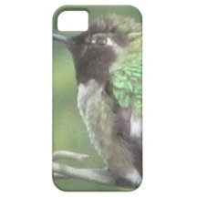 Colibrí iPhone 5 Protectores
