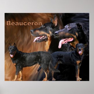 collage beaucerons, poster