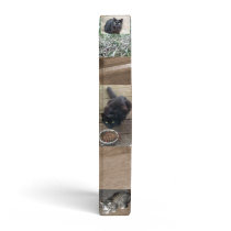 Collage Cats Binder by TraceElements Collage Cats Binder