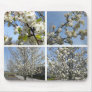 collage of spring mouse pads