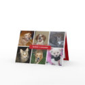 Collage six photo Christmas holiday greeting story card