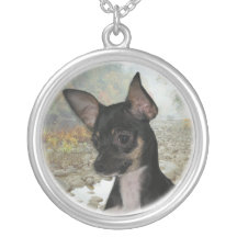 Collar de la chihuahua