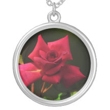 Collar de la plata esterlina del rosa rojo