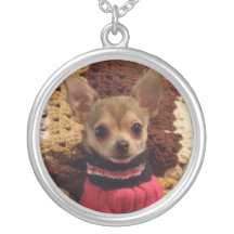 Collar del perrito de la chihuahua