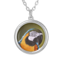 Collar hermoso del Macaw