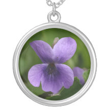 Collar violeta salvaje
