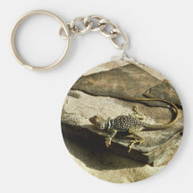Collard lizard key chains