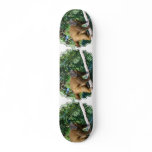 Collared Lemur Skateboard