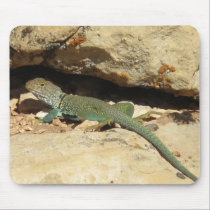 Collared lizard mousepads