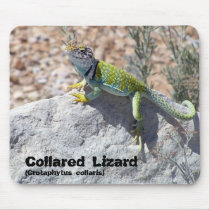 Collared Lizard mousepads by Exit178 Collared Lizard mousepads
