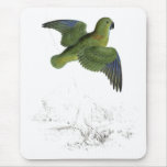 Collared Parrakeet by Edward Lear Mousemat