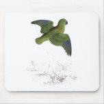 Collared Parrakeet by Edward Lear Mousepads