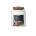 Collected Horse at Show Candy Jar
