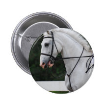 Collected White Horse  Button