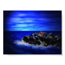 Collecting Seashells posters