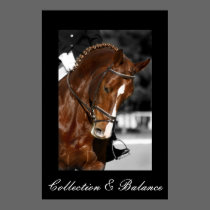 Collection & Balance posters by macnessa Collection & Balance posters