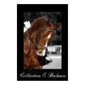 Collection & Balance posters by macnessa Collection & Balance posters