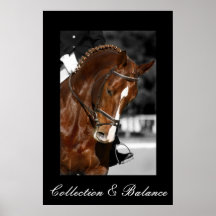 Collection & Balance Posters