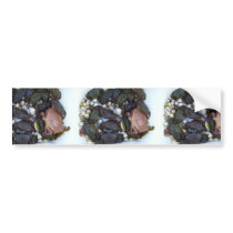 Collection Of Crabs Bumper Sticker