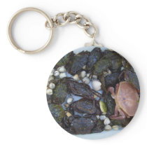 Collection Of Crabs Key Chain