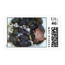Collection Of Crabs Postage Stamp