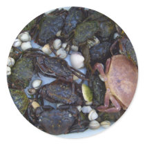 Collection Of Crabs Stickers