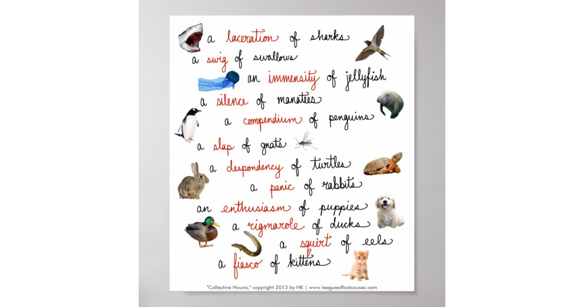 Collective Nouns posters Zazzle