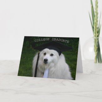College Gradulate American Eskimo card
