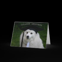 College Gradulate cards by sunfun38 College Gradulate cards