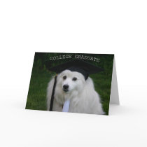 College Gradulate cards